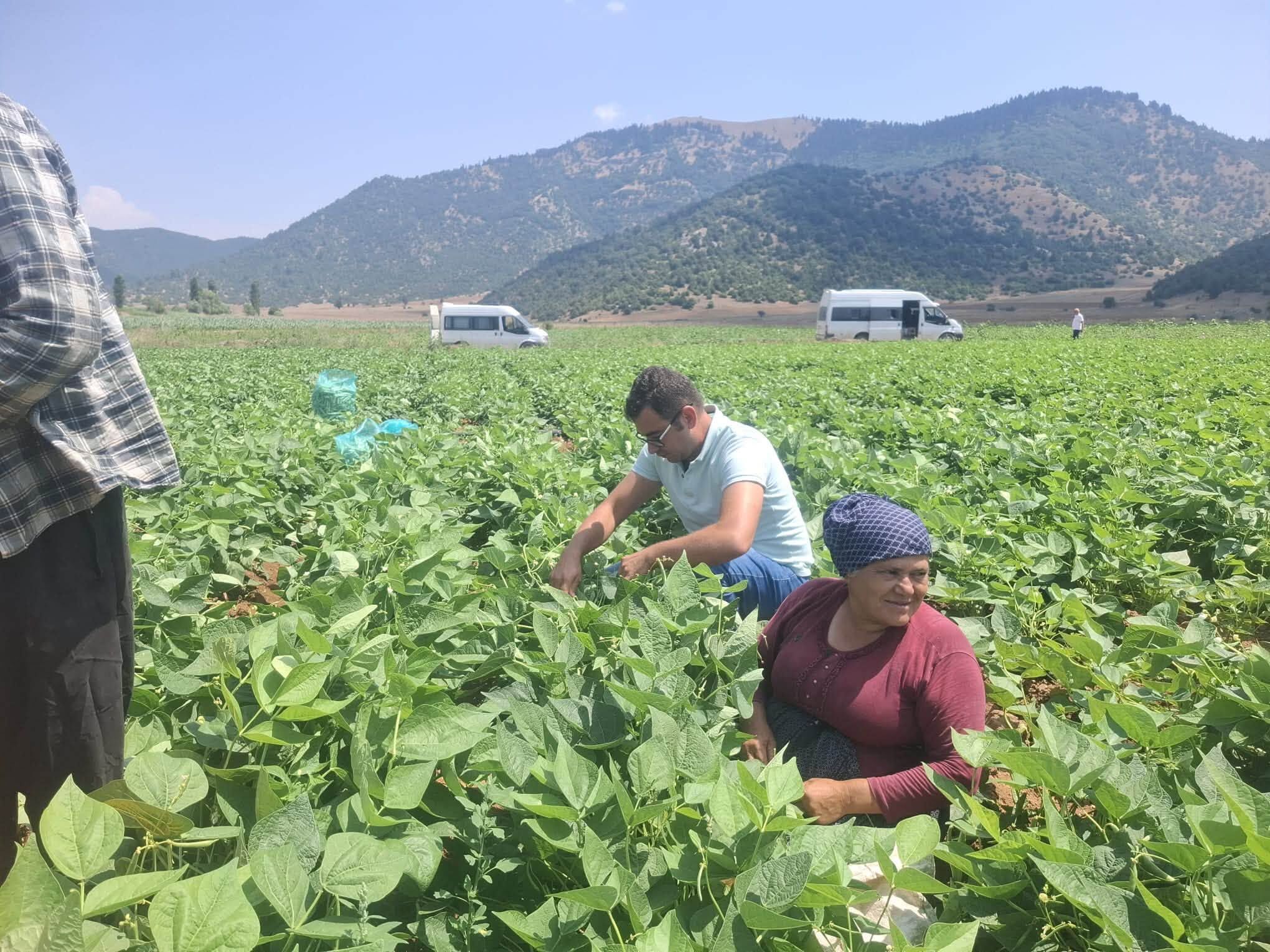 Düziçi’nde Tarım Arazilerinde Sıkı Denetim-1