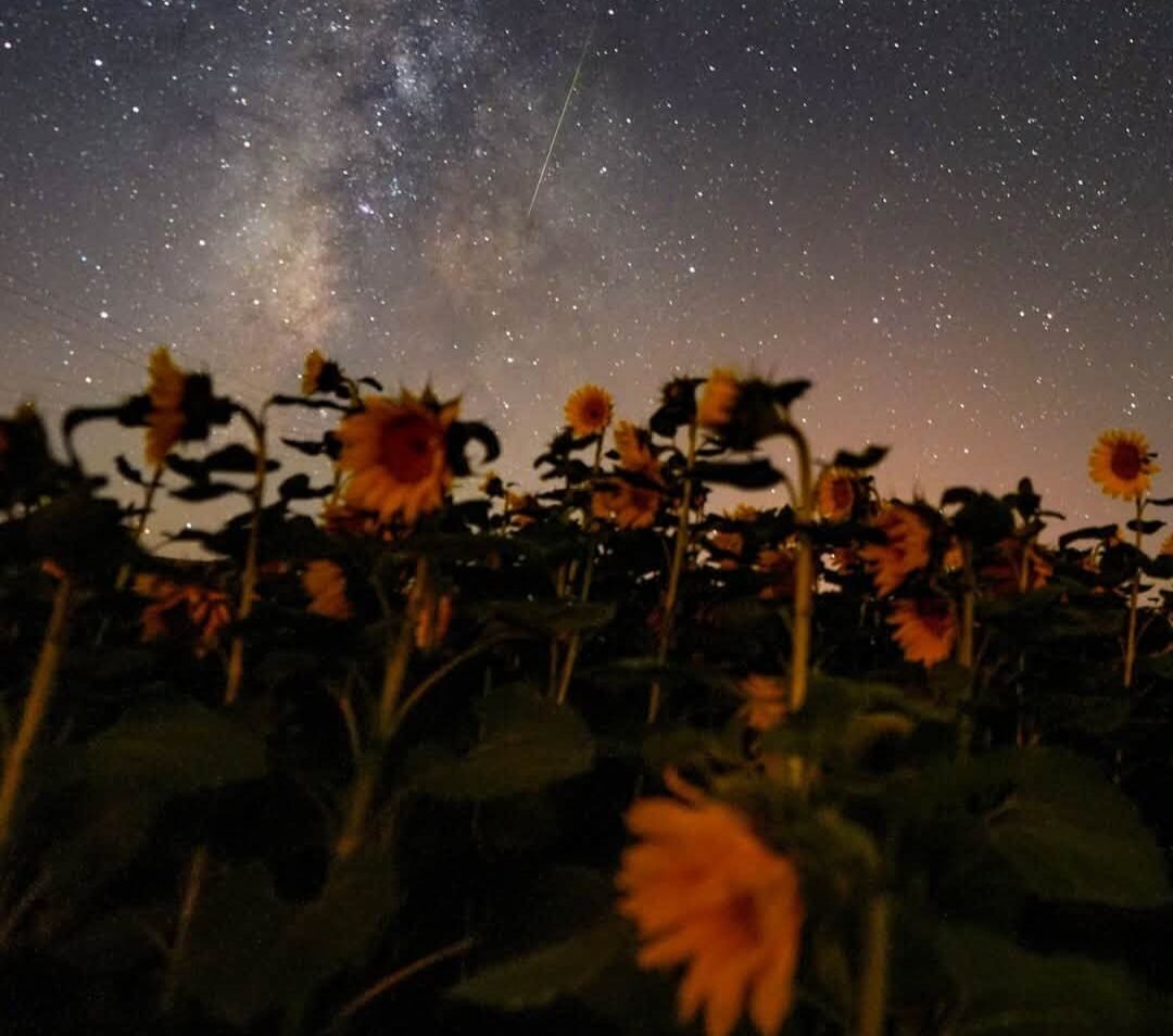 Perseid Meteor Yağmuru Türkiye’de Gökyüzünü Süsledi