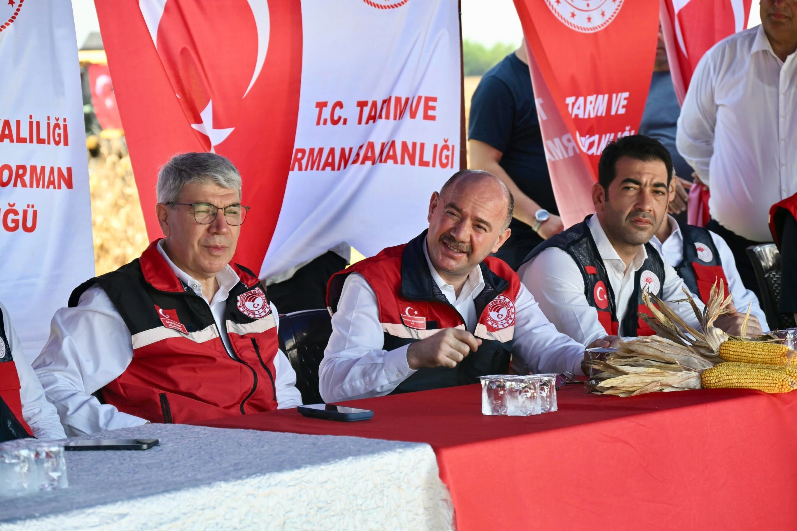 Osmaniye’de Mısır Hasadı Bereketle Gerçekleşti