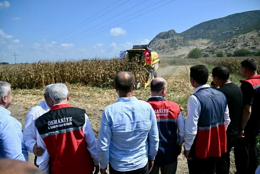 Osmaniye’de Mısır Hasadı Bereketle Gerçekleşti