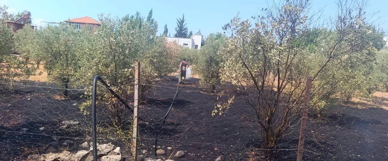 Dörtyol Kuzuculu’da bahçe yangını kontrol altında
