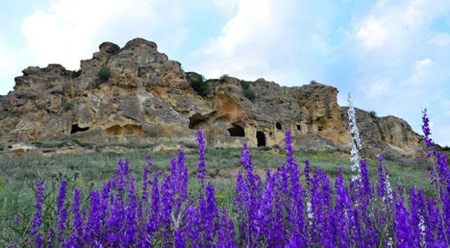 Doğa