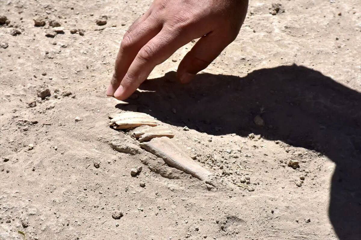 İremir Höyüğü’nde 5 Bin 500 Yıllık Yaşam İzleri