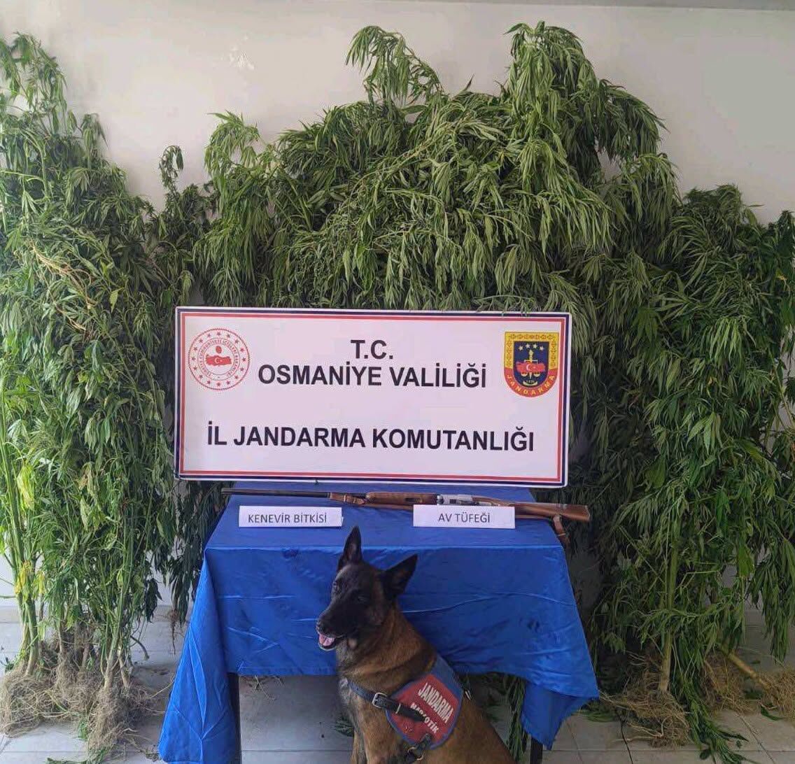Osmaniye’de Bir Haftada 138 Asayiş Olayı