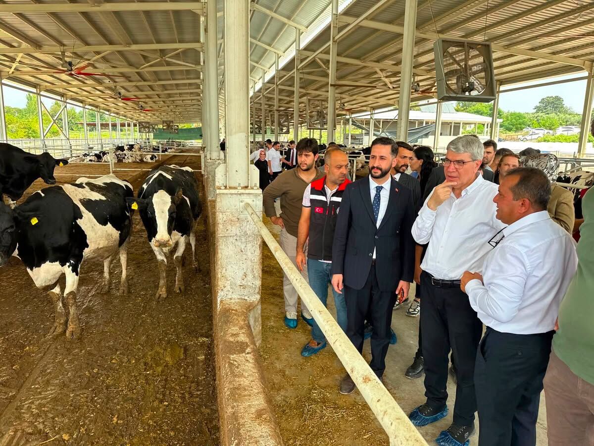 Milletvekili Gülsoy’dan Kadirli’de Hayvan Çiftliği Ziyareti-1