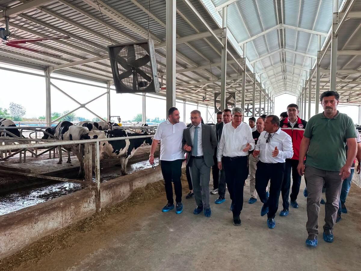 Milletvekili Gülsoy’dan Kadirli’de Hayvan Çiftliği Ziyareti