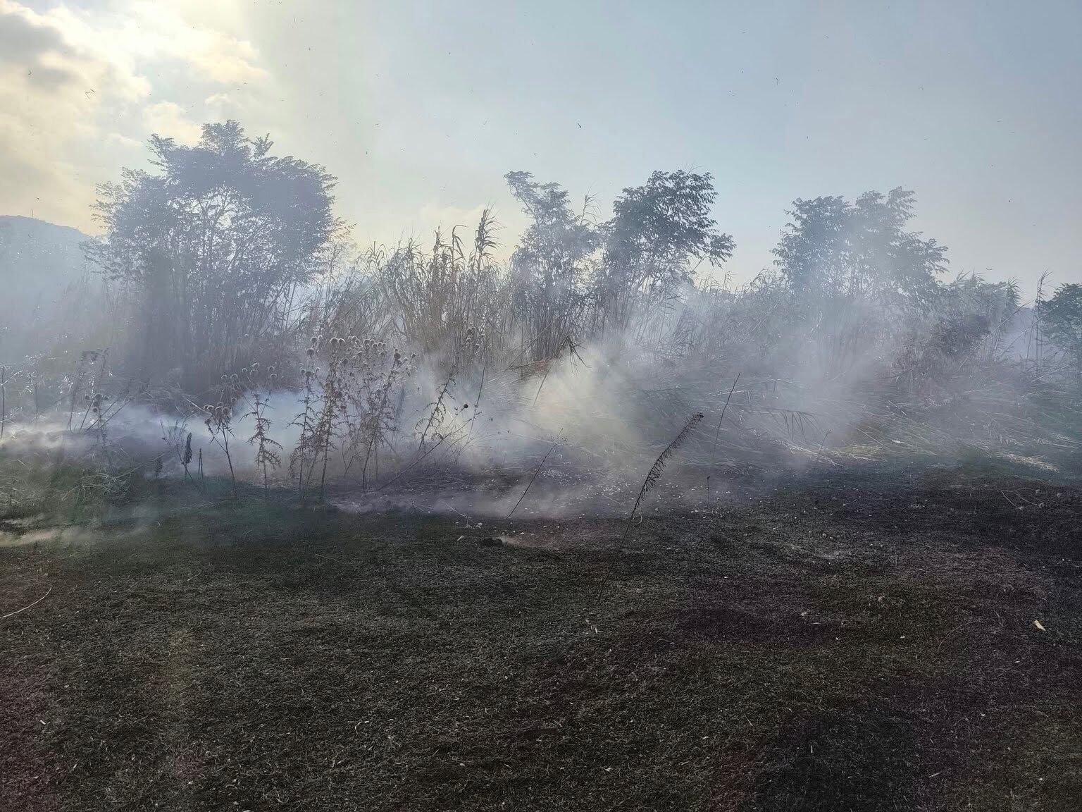 Hatay Defne’de Bahçe Yangını Kısa Sürede Söndürüldü