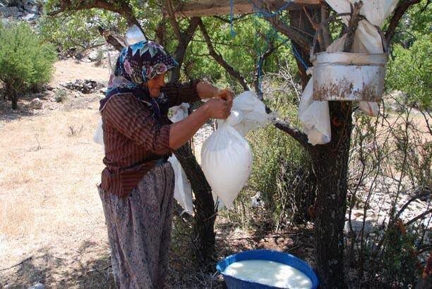 Toros Dağlarında 50 Metre Derinlikte Peynir Sırrı