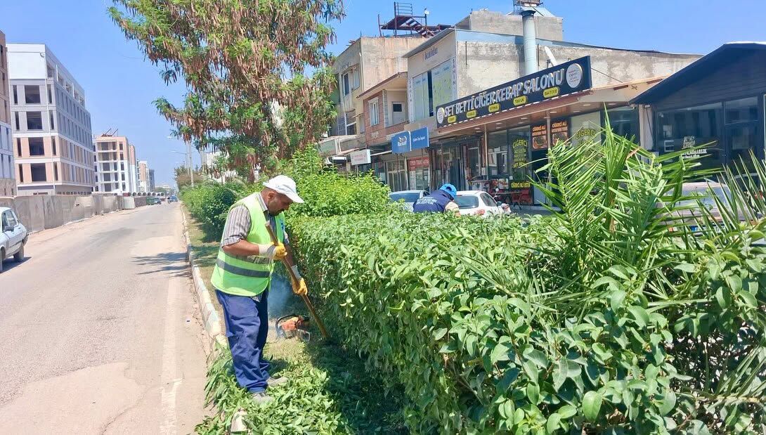 Hatay’da Su Sümbülleri İçin Temizlik Seferberliği