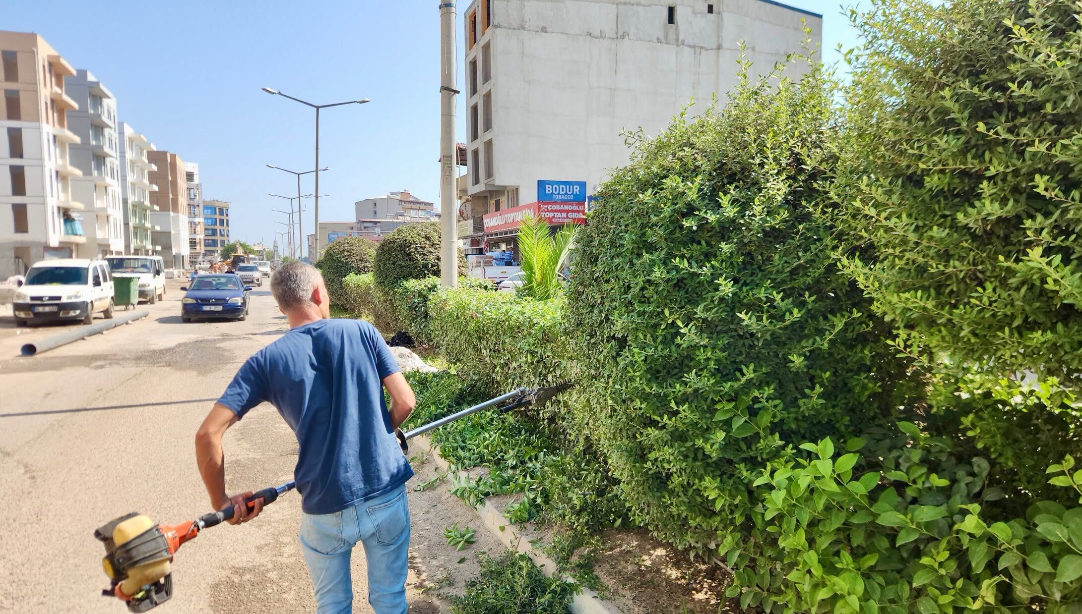 Hatay