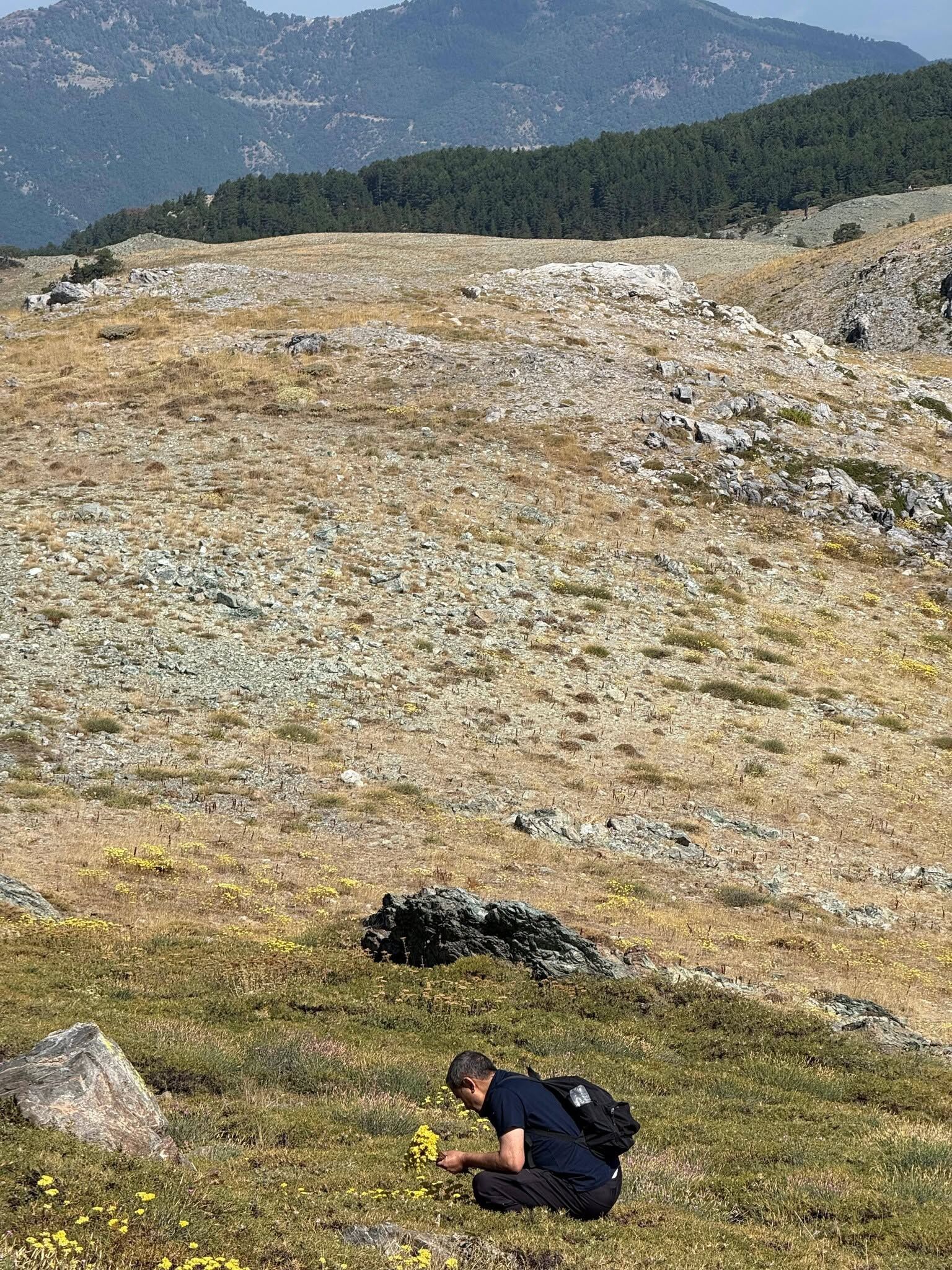 Amanoslar’ın Zirvesinde 30 Ağustos Coşkusu (7)