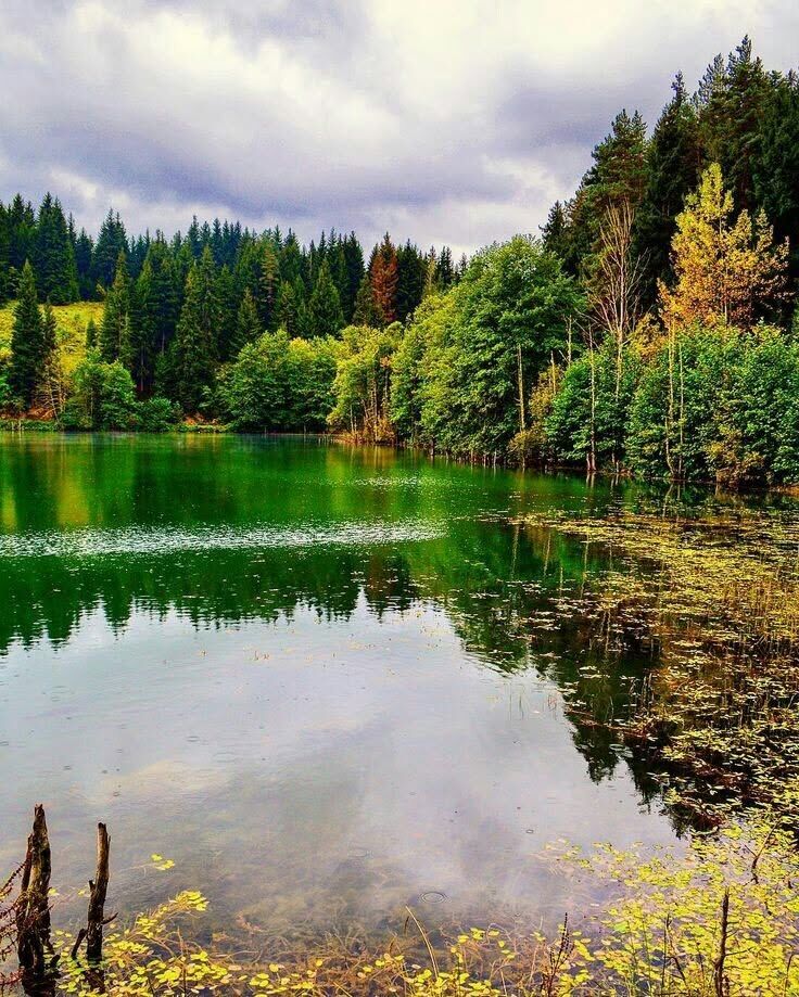 Artvin Şavşat Karagöl’de Doğayla Huzur Buluşuyor