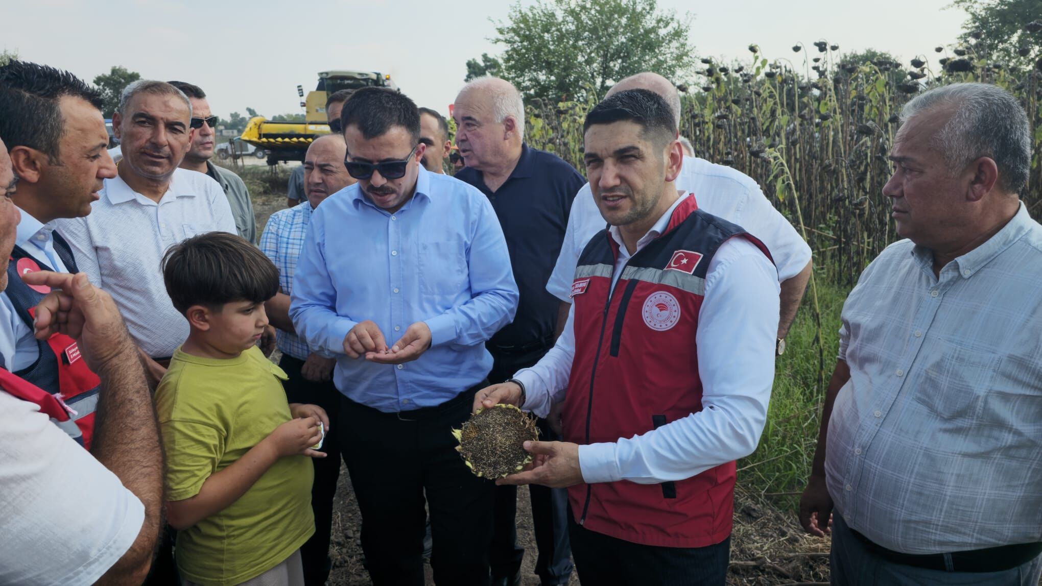 Düziçi’nde Ayçiçeği Hasadı “Bismillah”La Başladı (2)