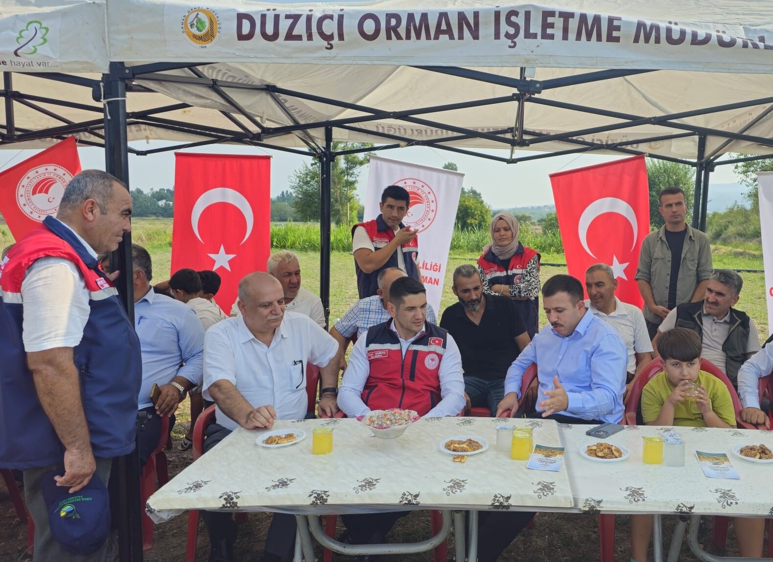 Düziçi’nde Ayçiçeği Hasadı “Bismillah”La Başladı (3)