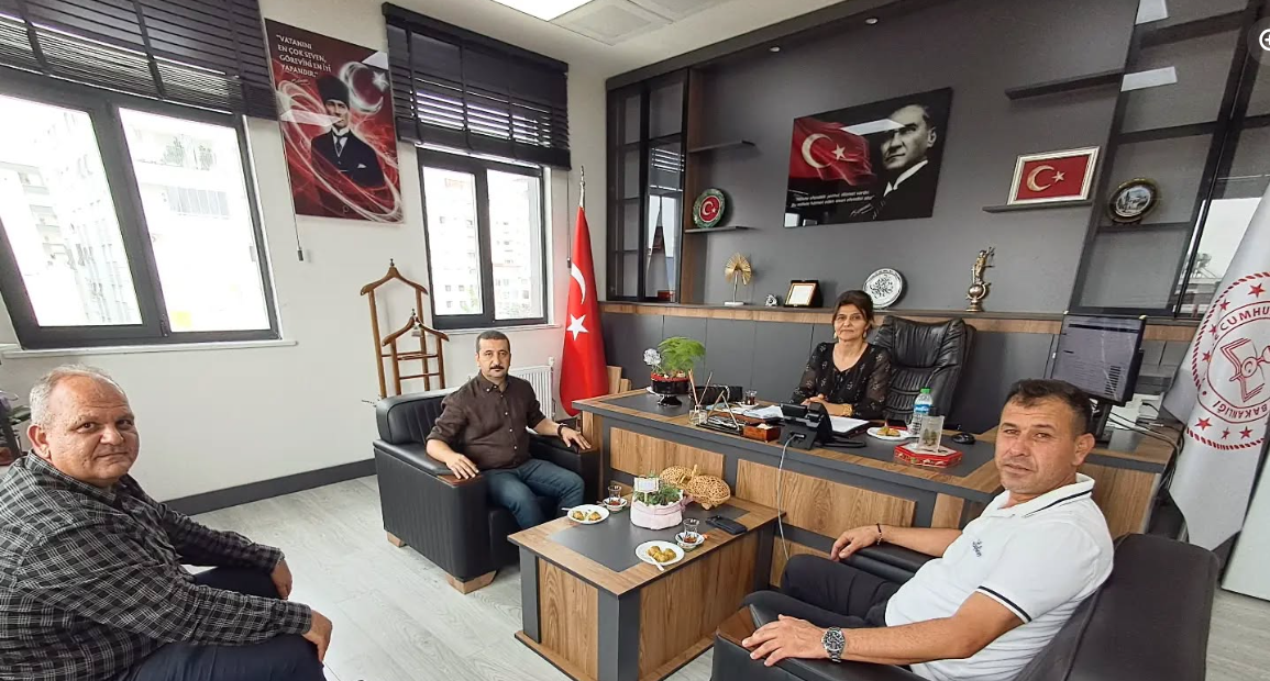 Düziçi