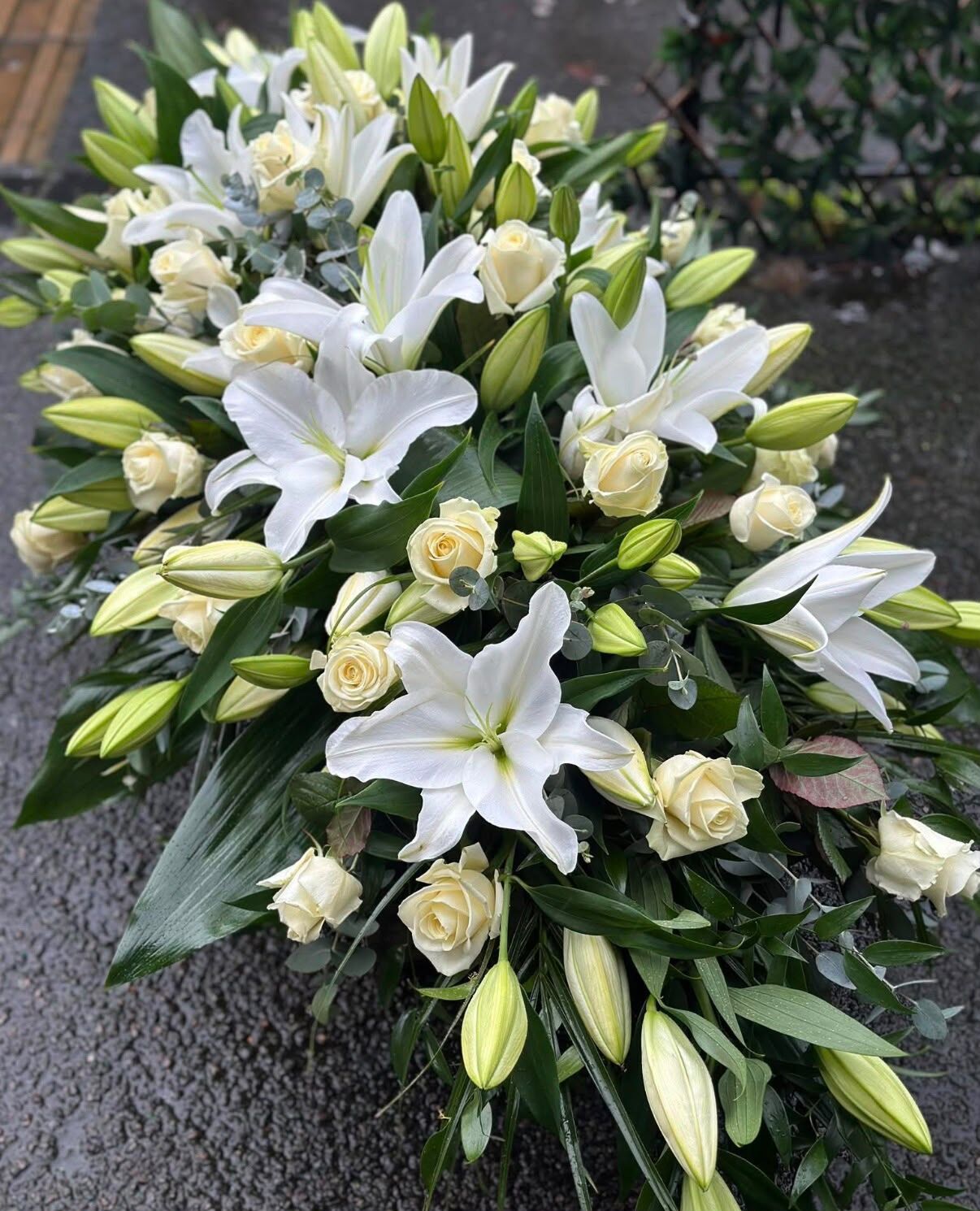 Genç Organizasyon’dan Çeyrek Asırlık Başarı Yolculuğu (4)