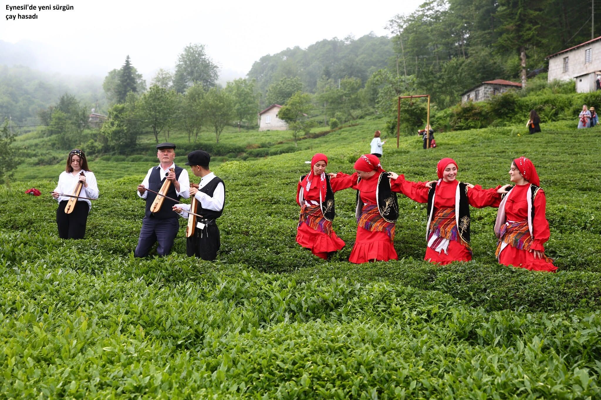 Giresun Eynesil’de Doğa Ve Deniz Büyülüyor Mu5