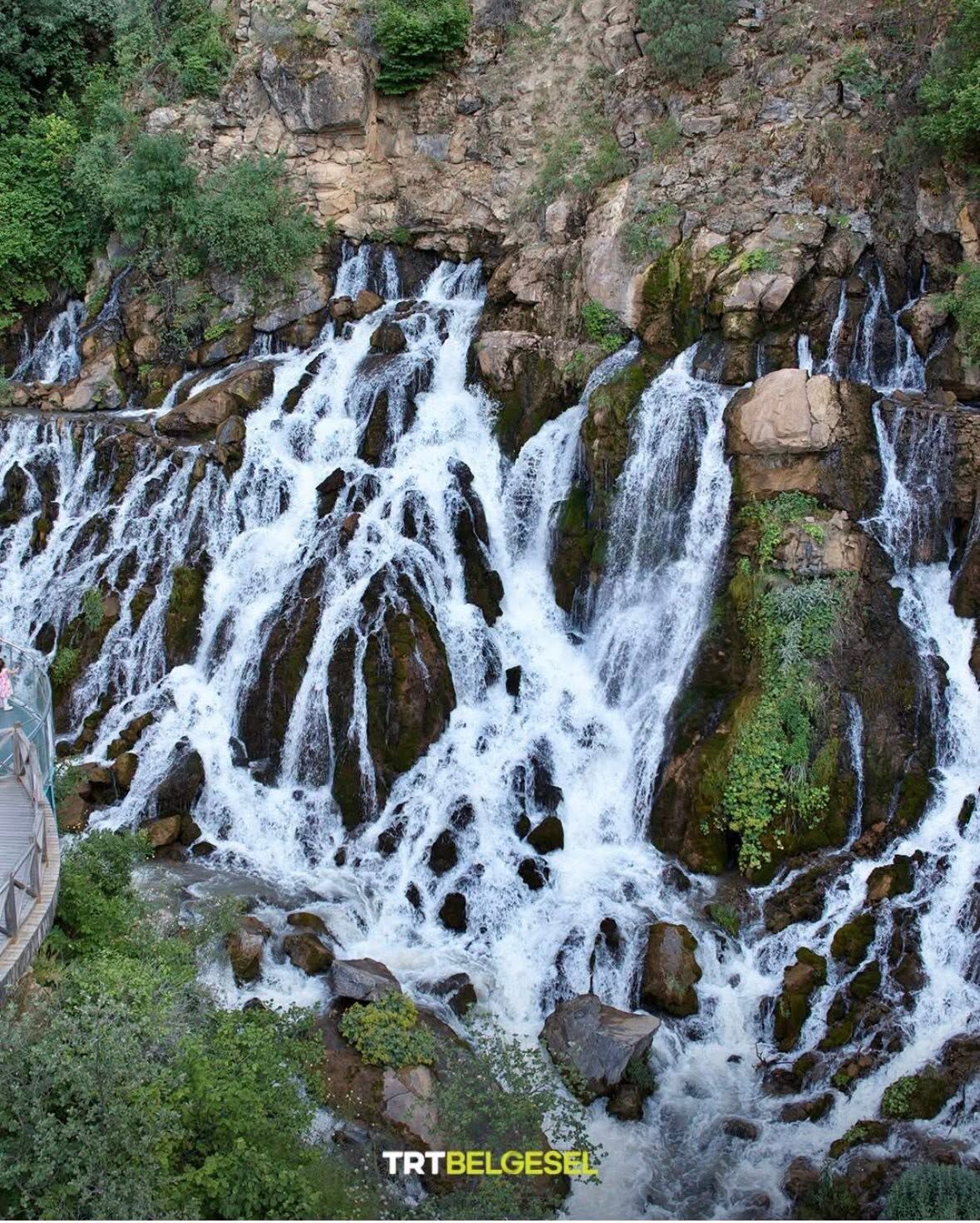 Doğa