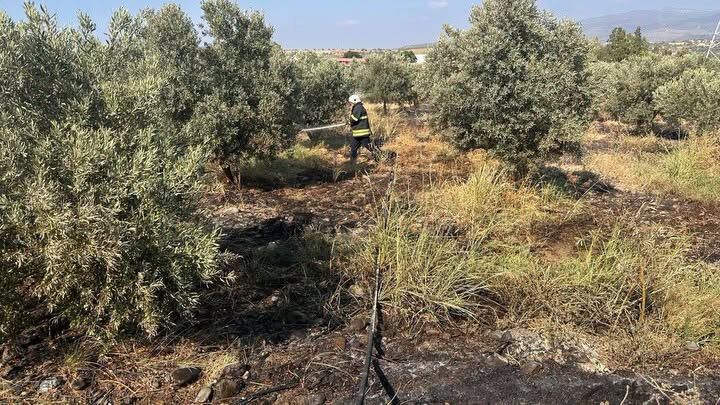 Hatay Arsuz’da Bahçe Yangını Kısa Sürede Söndürüldü3