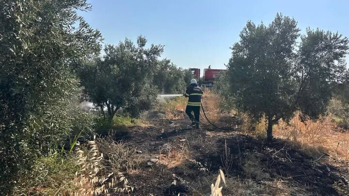 Hatay Arsuz’da Bahçe Yangını Kısa Sürede Söndürüldü4