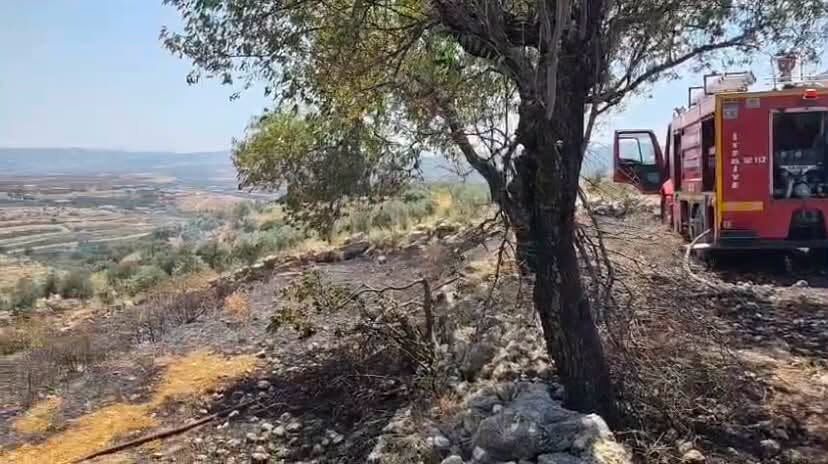 Hatay Defne’de Makilik Alan Yangını Kısa Sürede Söndürüldü4