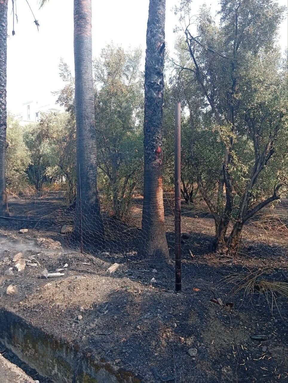Hatay Erzin’de Ağaçlık Alan Yangını Kısa Sürede Söndürüldü2