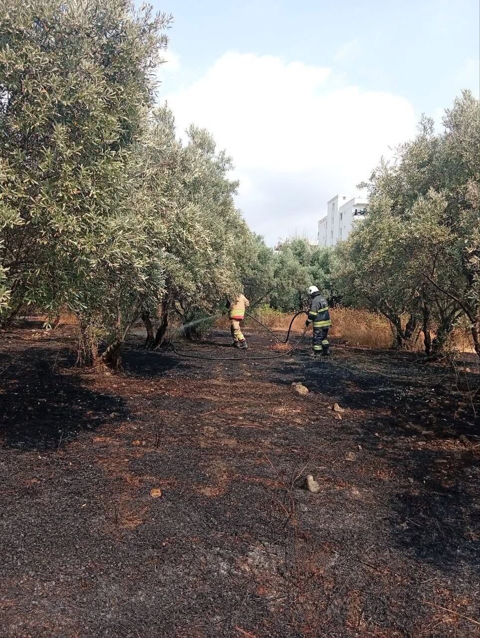 Hatay Erzin’de Ağaçlık Alan Yangını Kısa Sürede Söndürüldü3