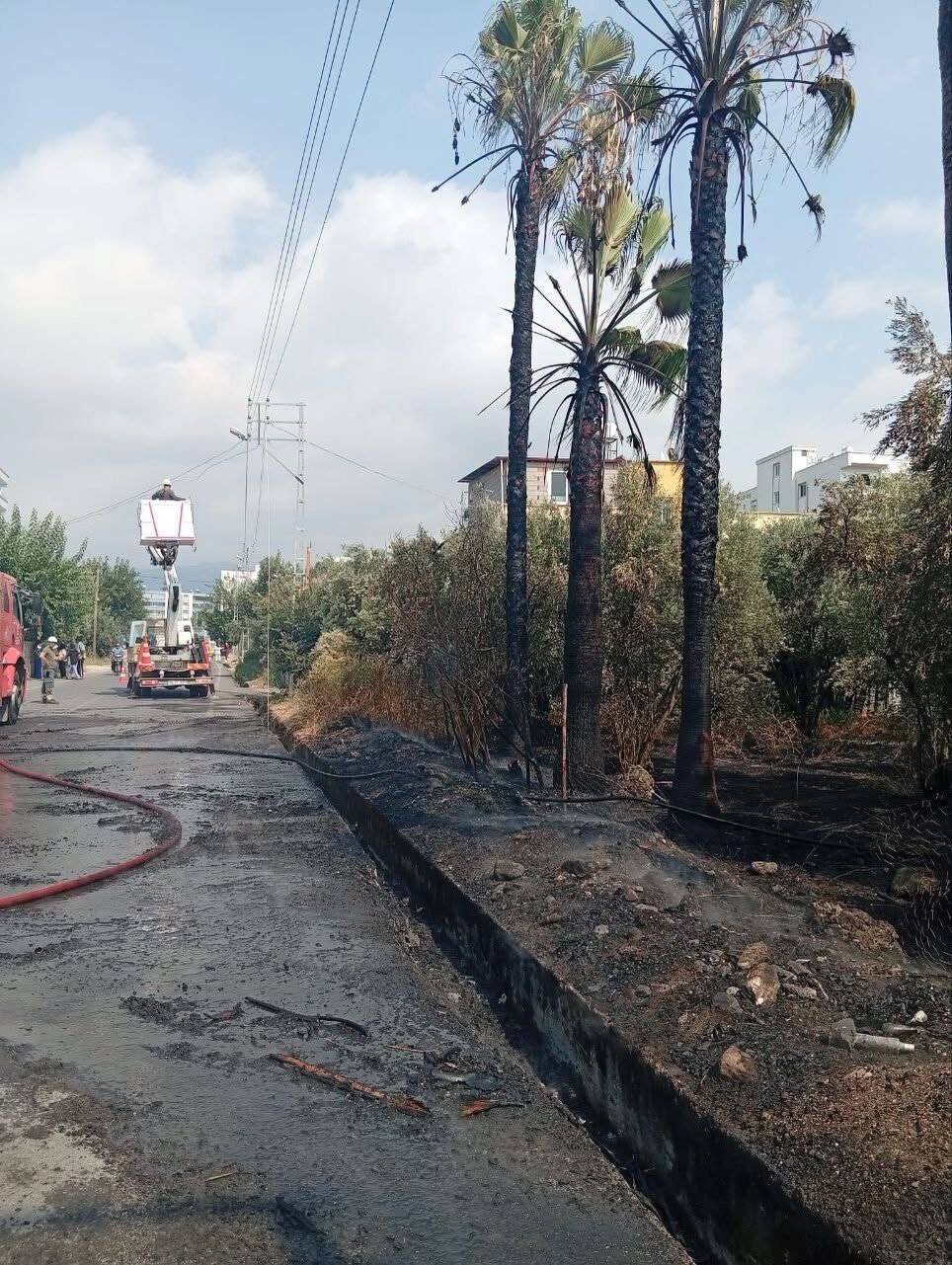 Hatay Erzin’de Ağaçlık Alan Yangını Kısa Sürede Söndürüldü5