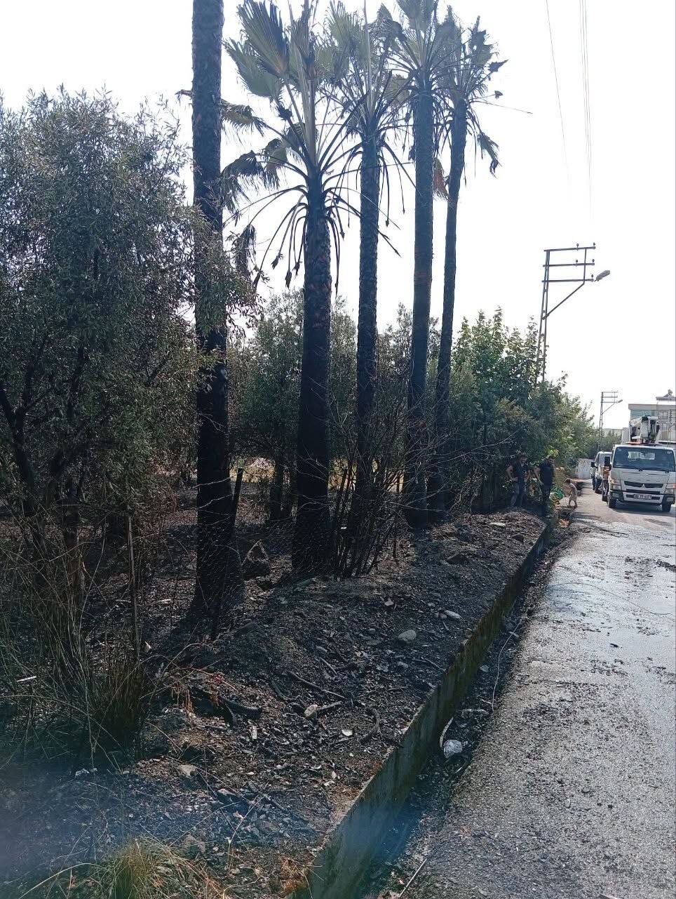 Hatay Erzin’de Ağaçlık Alan Yangını Kısa Sürede Söndürüldü6