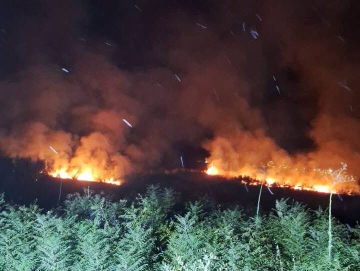 Hatay’da Dört İlçede Çıkan Yangınlar Söndürüldü8