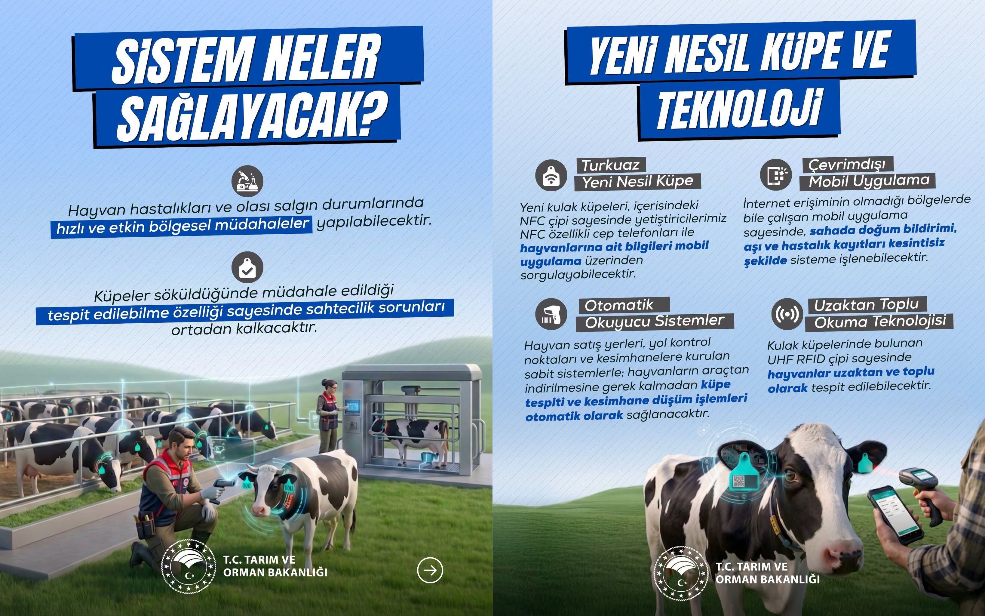 Hayvancılık (1)
