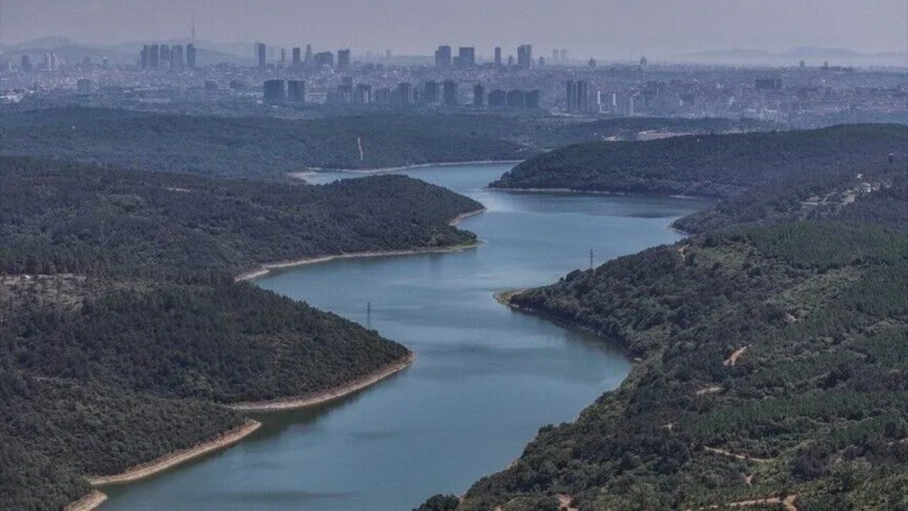 Yaşam