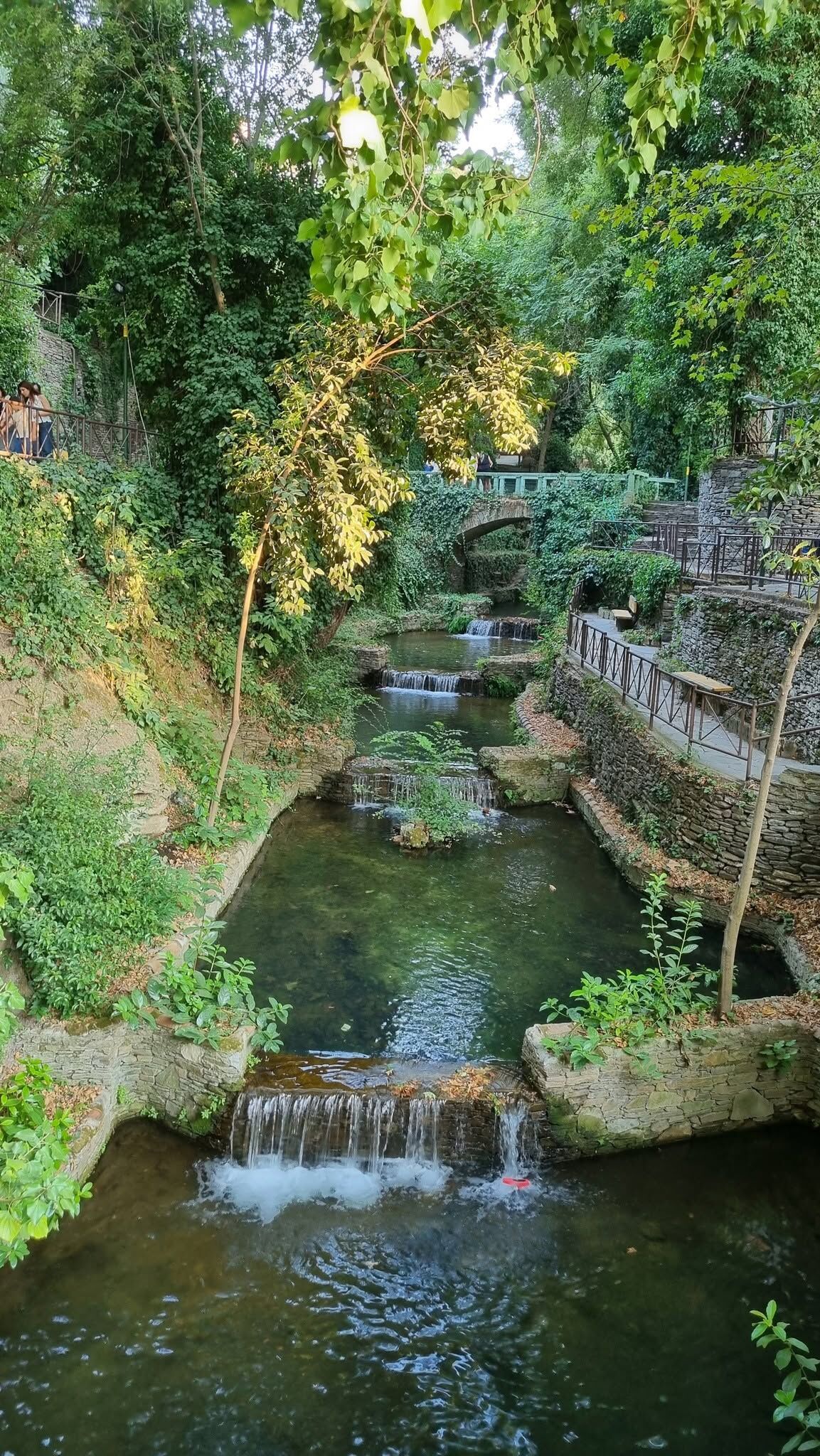 İzmir Tire’deki Derekahve Doğaseverlerin Gözdesi