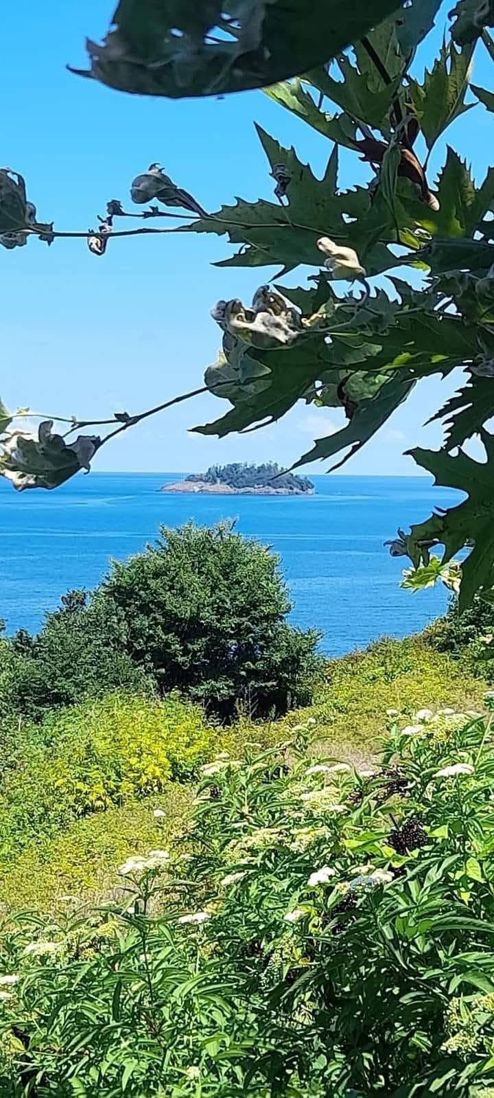Karadeniz’in Tek Adası Giresun Adası Nerede2