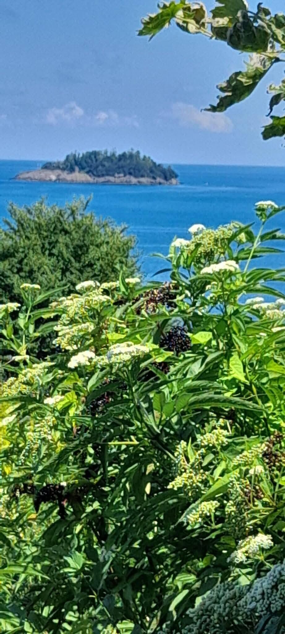 Karadeniz’in Tek Adası Giresun Adası Nerede3