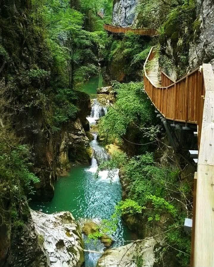 Doğa