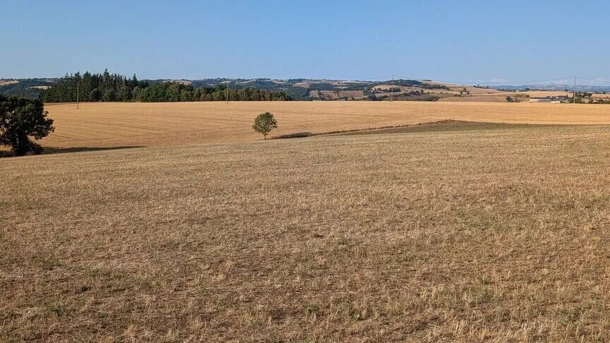 Dünya