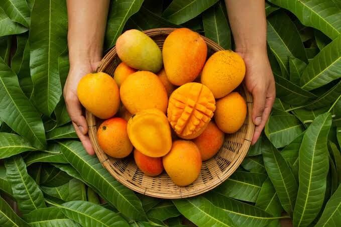 Mango