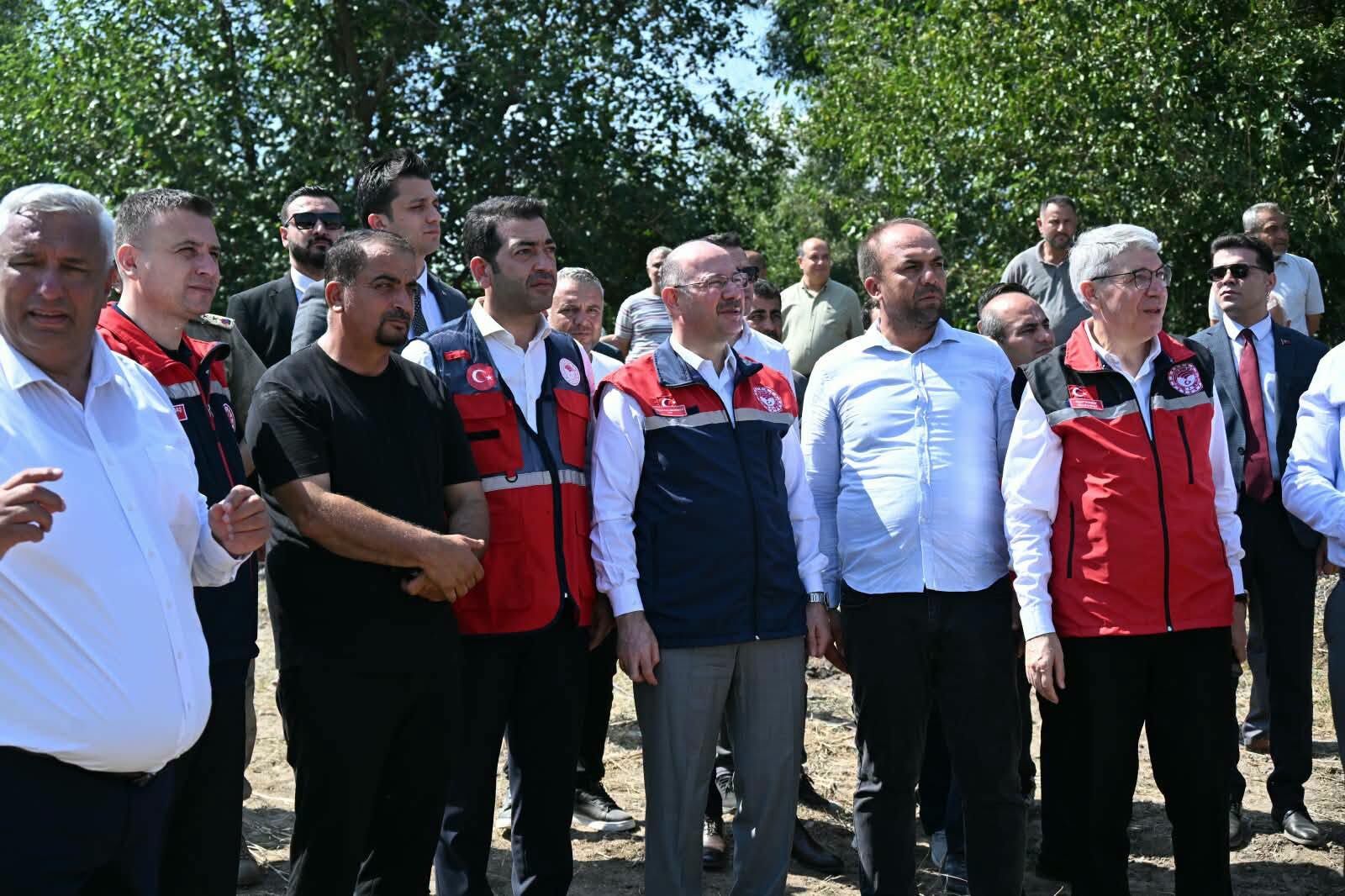 Mısır Hasat2