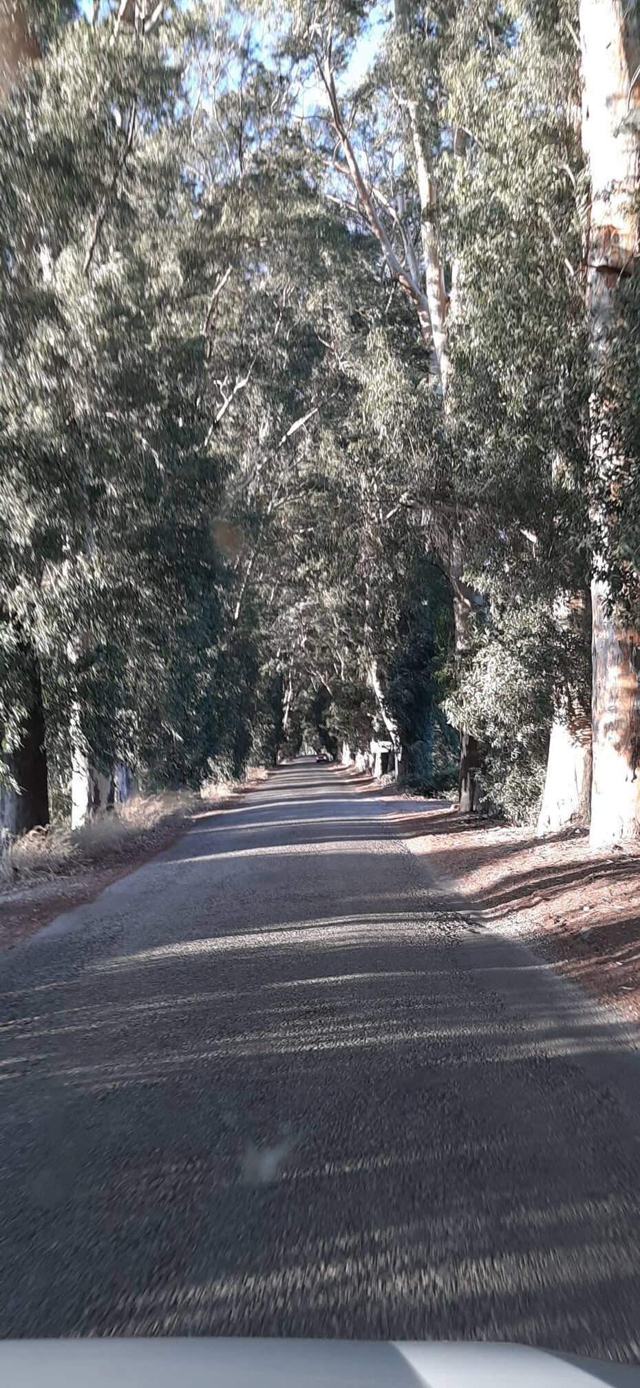 Doğa