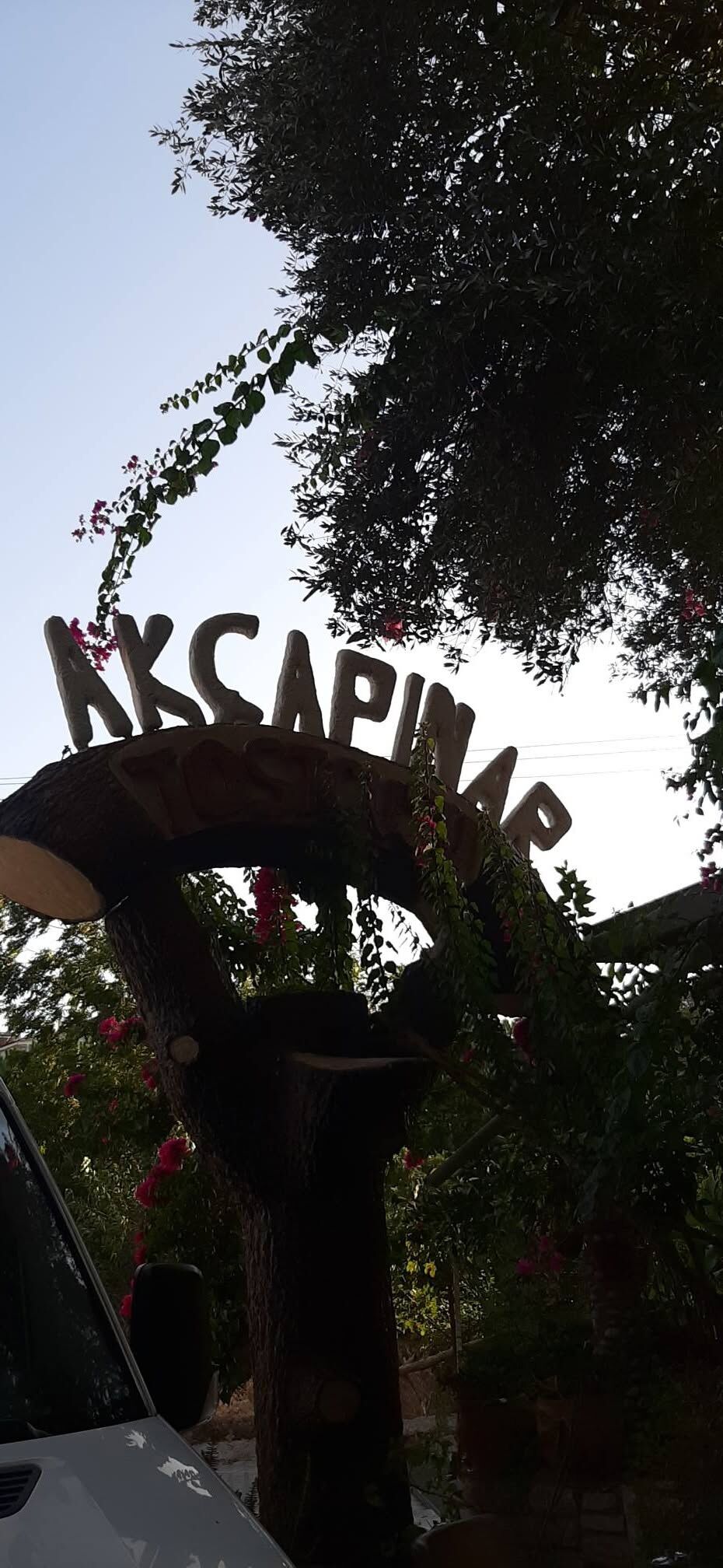 Muğla’nın Marmaris’inde Okaliptüs Yolu Akçapınar’a Mı2