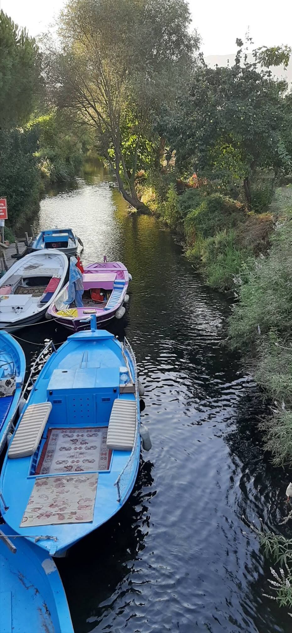 Muğla’nın Marmaris’inde Okaliptüs Yolu Akçapınar’a Mı3