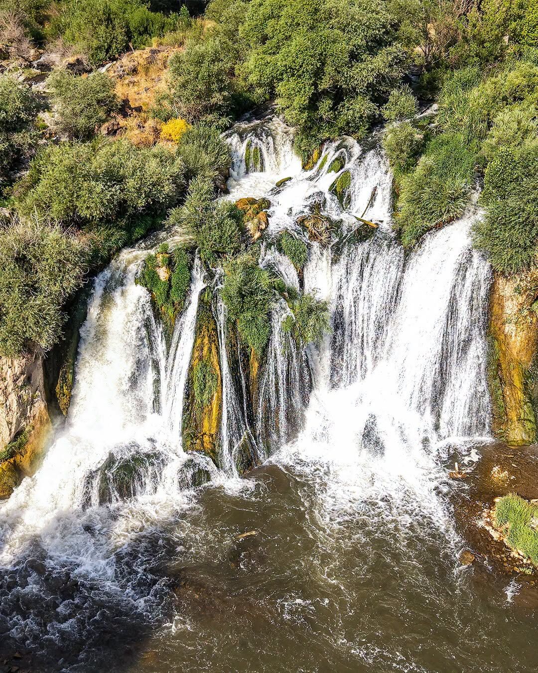 Doğa