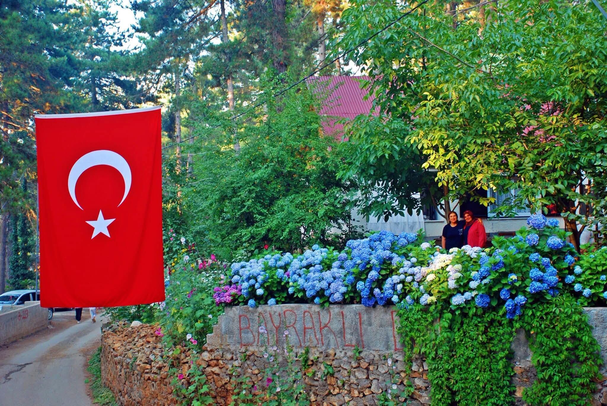 Osmaniye Zorkun Yaylası Ortancalarla Güzelleşiyor3