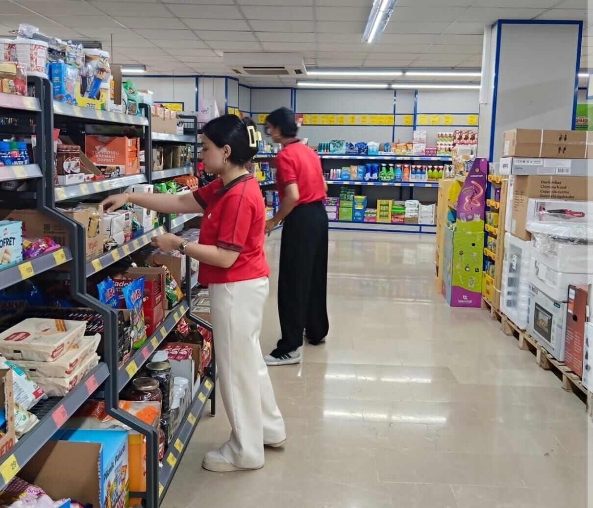 Osmaniye’de İşkur’dan Gençlere İstihdam Kapısı