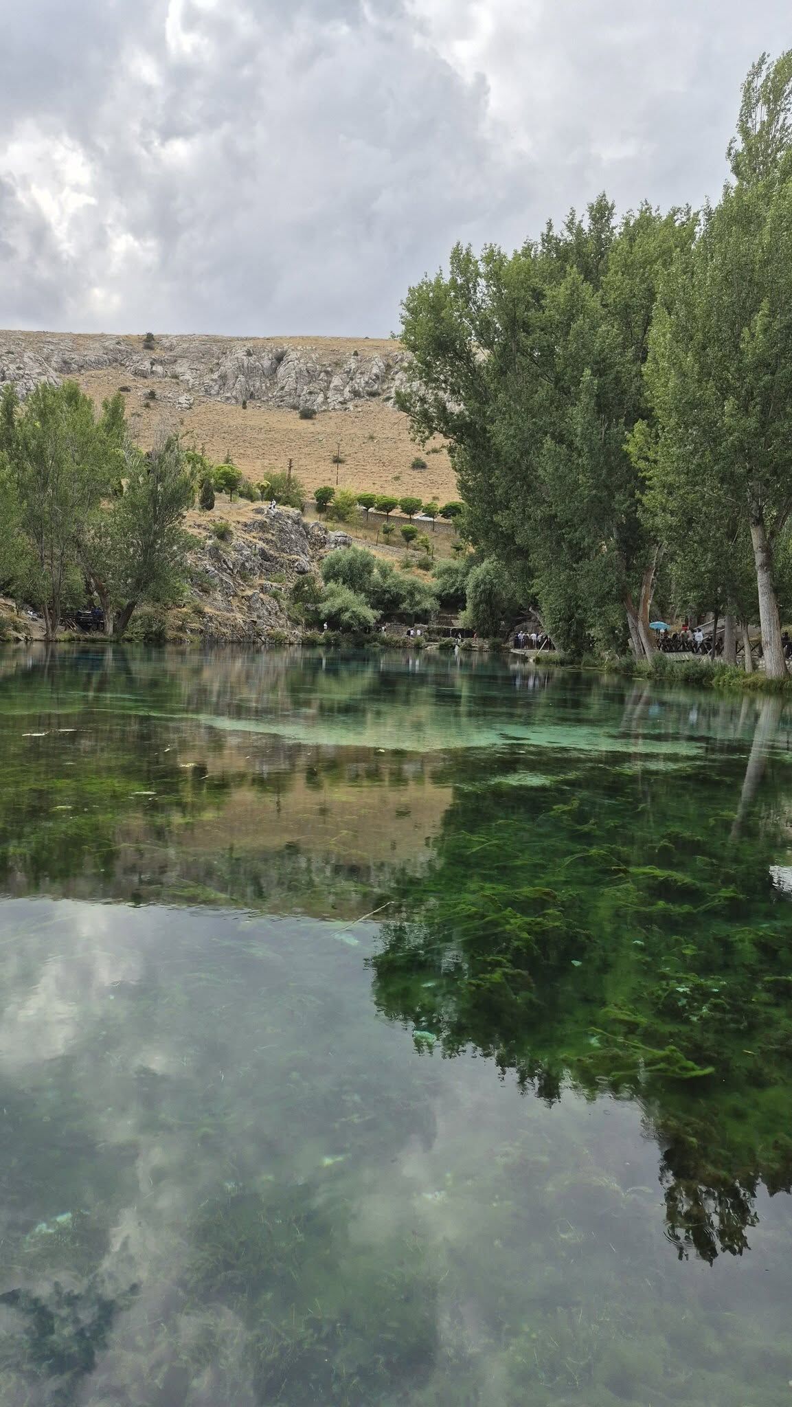 Doğa
