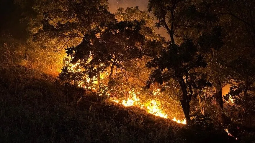 Tunceli'de Ormanlık Alanda Yangın Paniği (1)