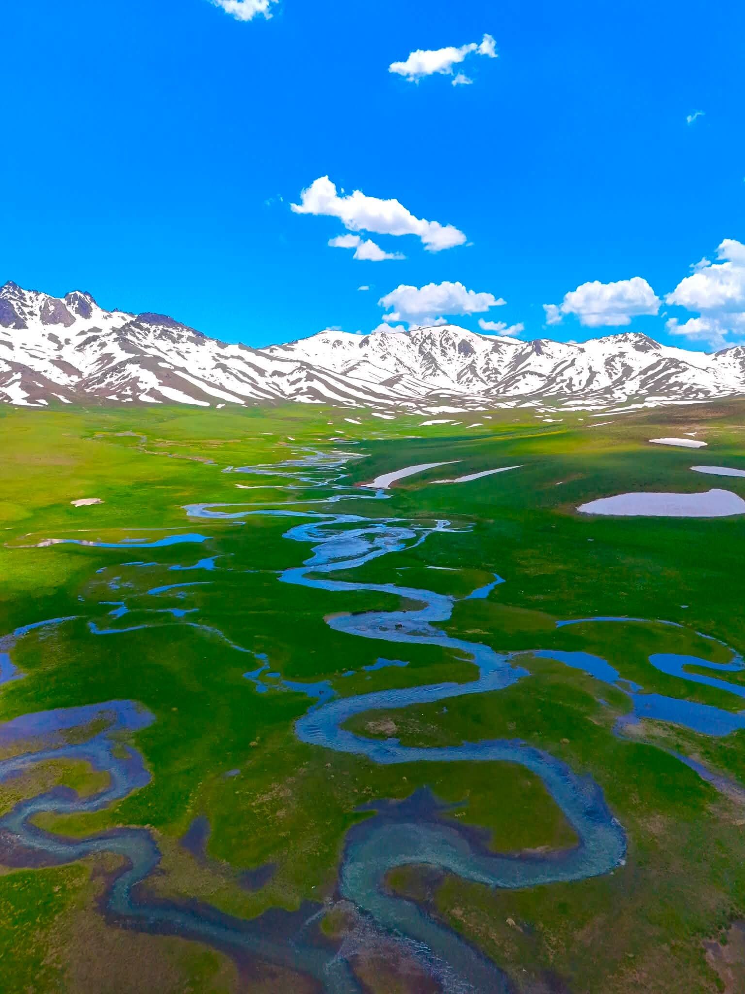 Doğa