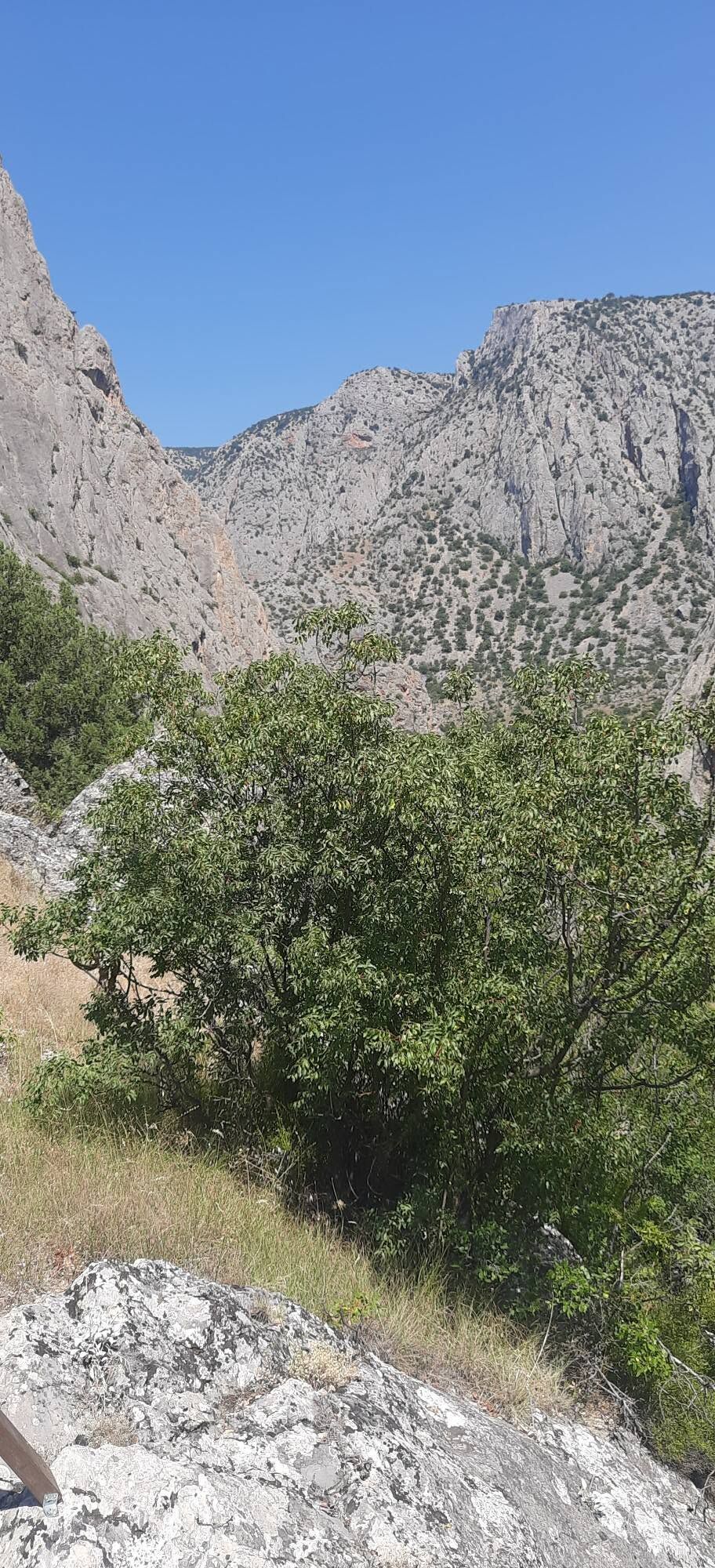 Yozgat Kazankaya Kanyonu Ziyaretçileri Büyülüyor4
