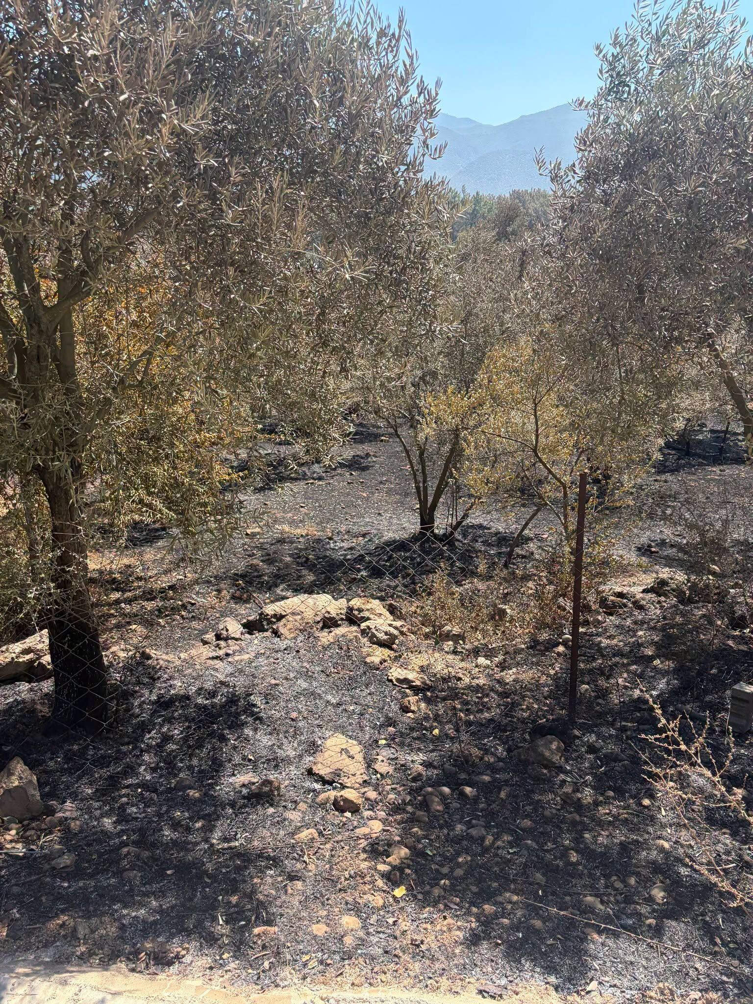 Antalya’da Yangın Riskine Karşı Çiftçilere Uyarı